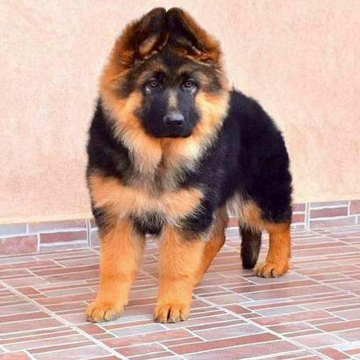 Amistad chingona ❤😎❤😎❤😎❤