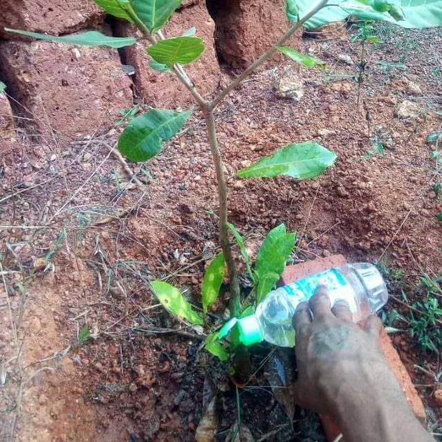 Anand great🇮🇳🇮🇳🇮🇳