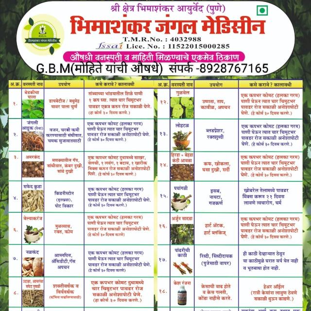 Bhimashankar Medicine73