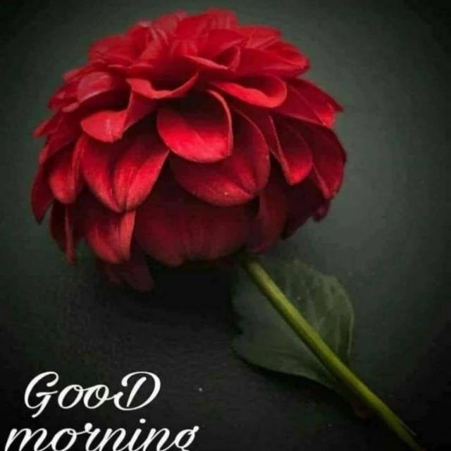 Chapra grup