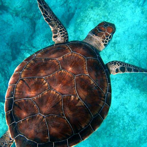 Dosti🤝🤝🤝group