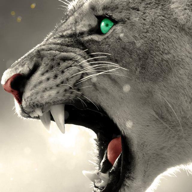 Electrical engineer 💡💡💡💡