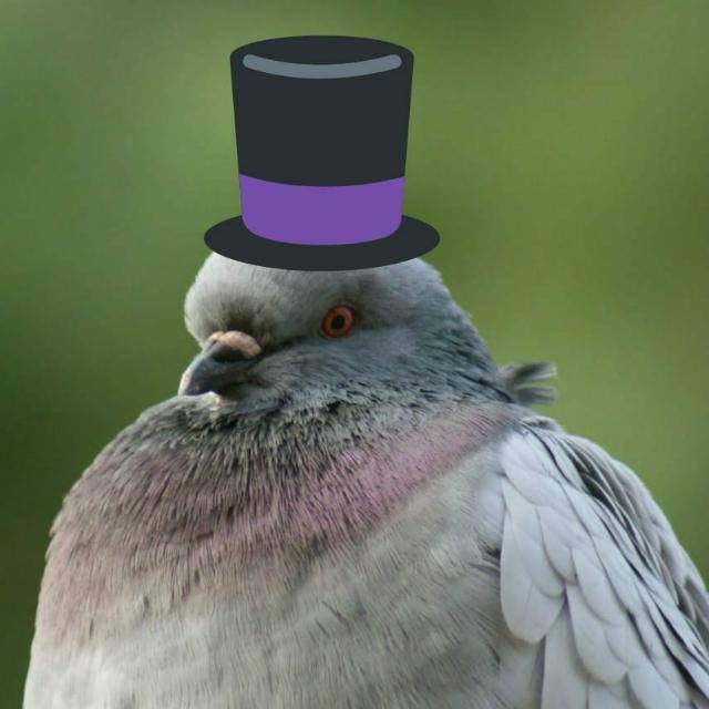 Enlaces🐦🎩