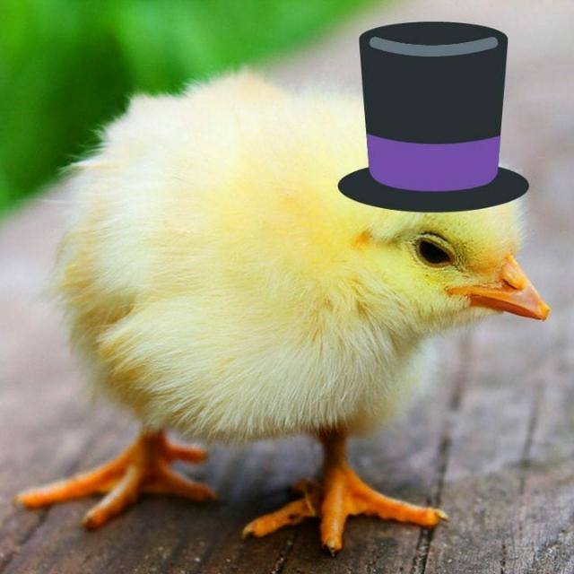 Enlaces🐤🎩