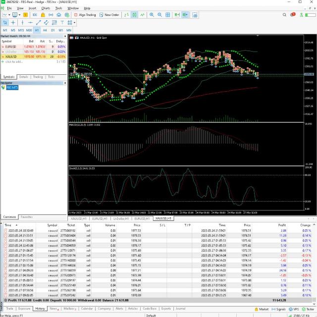 Forex Trend Signals Daily
