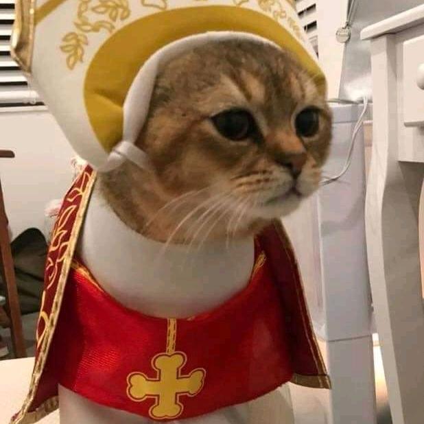 Gatolicismo