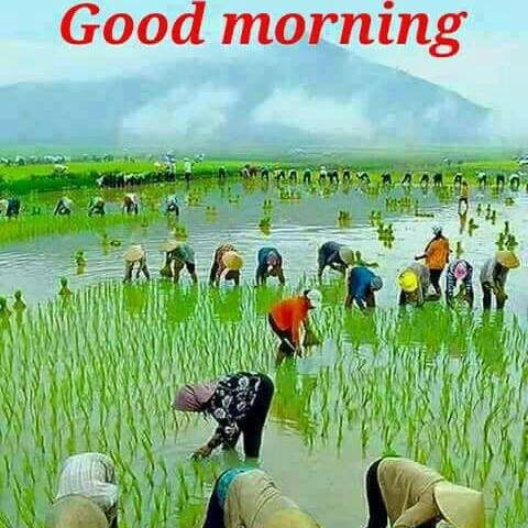 Ghanta group🔔🔔