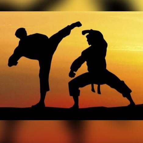 Karate Brasil 🇧🇷🥋