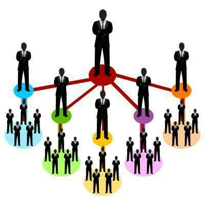 New Plan Launch Free