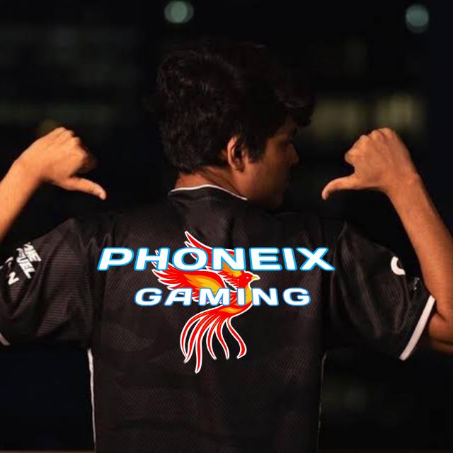 PHONEIX GAMING