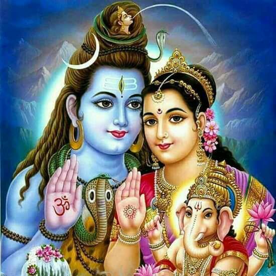 Whatsapp Robot for free