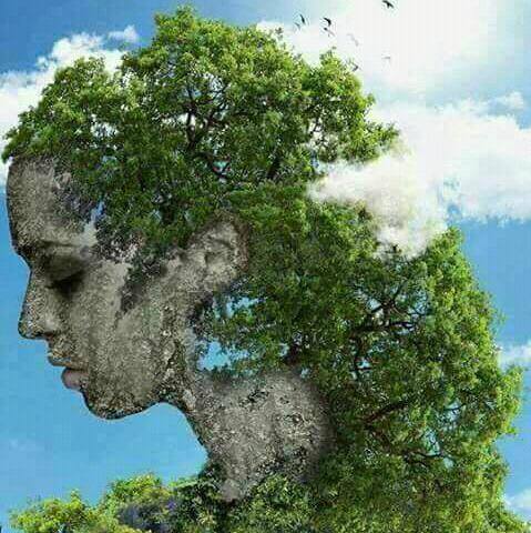 ⏮1001⏸MACAM⏯VIDEO ⏭