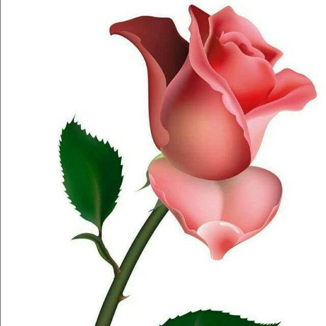 ❤APNA group (سنگت)❤