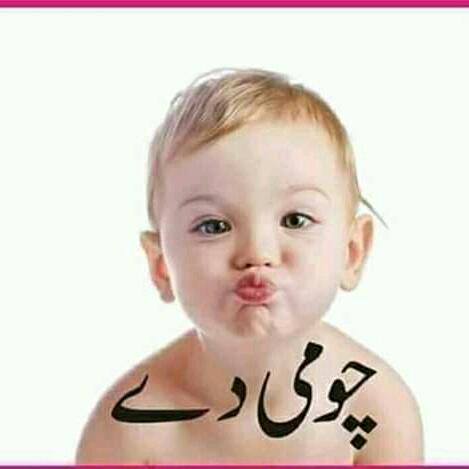 ✍ FRASES🌹Música🤣RISOS