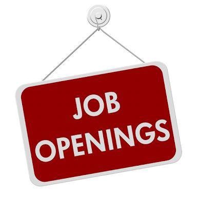 🖥JOB GROUP📲