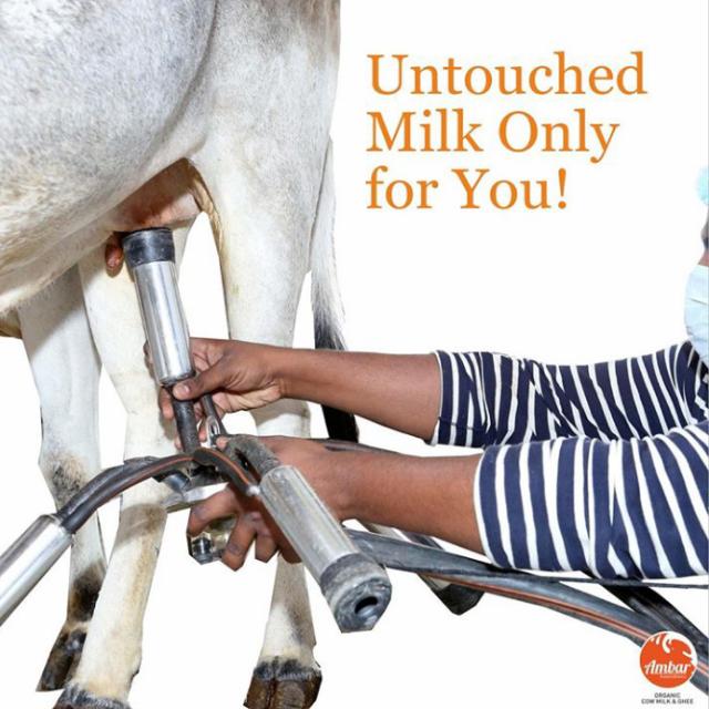 🥛Milk🏡home🚚delivery❤️