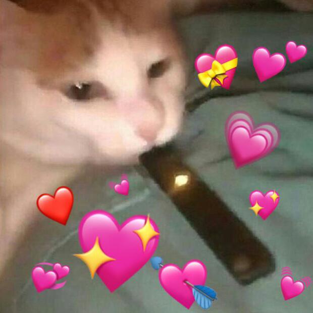 😔 Arquivando🕯⚰