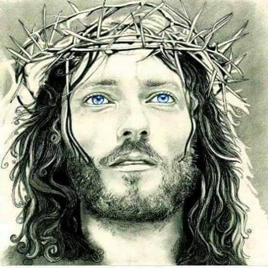 🌹 🏨100%  JESUS 🙏😇🌻