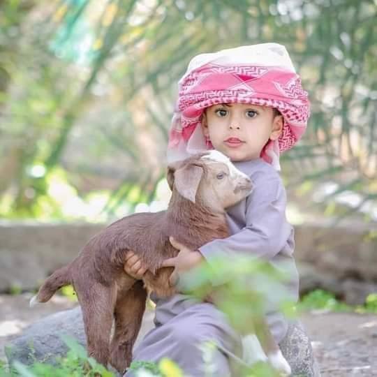 🌹⚔️🔪Ziddi 🌹⛓️🗡️Rais ⚔️🔪🌹