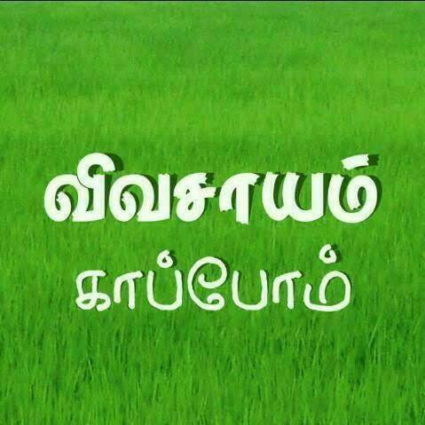 💞தமிழ் 30 மணிதுலி படங்கள்