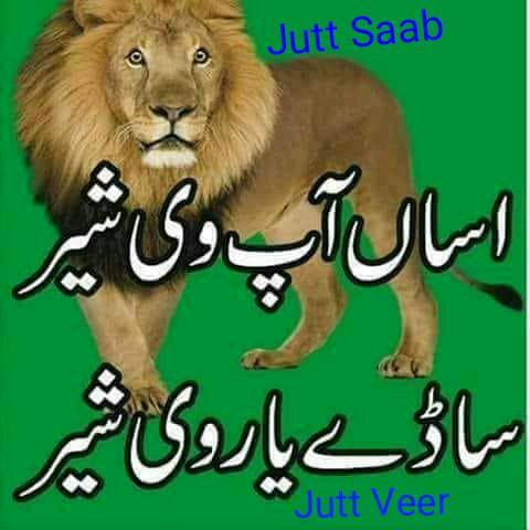 💪🐅🐅😎AzAD😇 loGG😊🐅🐅💪💪