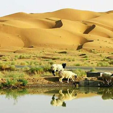 😚😁😁😁😗😊😔😒😒😗