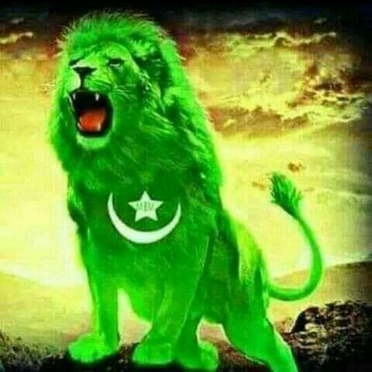 🌷مجھےآپ سے پیار ھے🌴