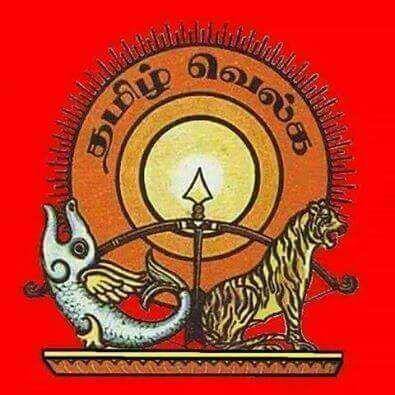 📚சிறப்புக்கட்டுரைகள்🔰